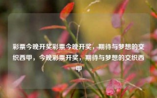 彩票今晚开奖彩票今晚开奖，期待与梦想的交织西甲，今晚彩票开奖，期待与梦想的交织西甲，今晚彩票开奖，期待与梦想交织的西甲之夜。