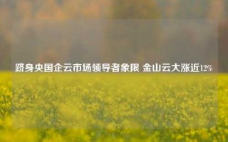 跻身央国企云市场领导者象限 金山云大涨近12%