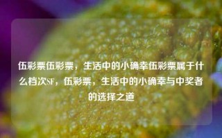 伍彩票伍彩票，生活中的小确幸伍彩票属于什么档次SF，伍彩票，生活中的小确幸与中奖者的选择之道，伍彩票，生活中的小确幸与中奖者的选择之道