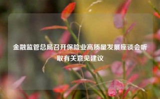 金融监管总局召开保险业高质量发展座谈会听取有关意见建议