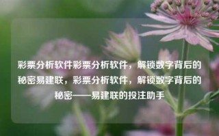 彩票分析软件彩票分析软件，解锁数字背后的秘密易建联，彩票分析软件，解锁数字背后的秘密——易建联的投注助手，易建联的投注助手，解锁彩票分析软件的数字秘密