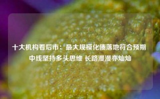 十大机构看后市：最大规模化债落地符合预期 中线坚持多头思维 长路漫漫亦灿灿