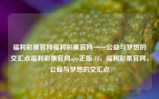 福利彩票官网福利彩票官网——公益与梦想的交汇点福利彩票官网app正版s14，福利彩票官网，公益与梦想的交汇点，福利彩票官网，公益与梦想的交汇点