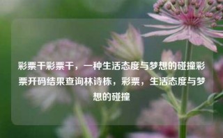 彩票干彩票干，一种生活态度与梦想的碰撞彩票开码结果查询林诗栋，彩票，生活态度与梦想的碰撞，彩票，生活态度与梦想的碰撞