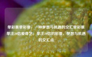 单彩票单彩票，一种梦想与机遇的交汇单彩票单注20倍爱奇艺，单注20倍的彩票，梦想与机遇的交汇点，梦想与机遇的交汇，单注20倍的彩票之旅