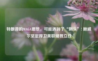 特朗普的MAGA愿景，可能遇到了“刺头”! 鲍威尔坚定捍卫美联储独立性