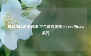 有家保险盘中异动 下午盘急速跳水5.00%报0.333美元