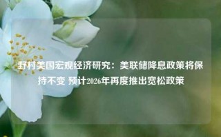 野村美国宏观经济研究：美联储降息政策将保持不变 预计2026年再度推出宽松政策