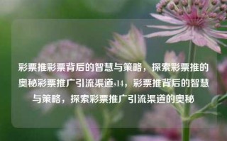 彩票推彩票背后的智慧与策略，探索彩票推的奥秘彩票推广引流渠道s14，彩票推背后的智慧与策略，探索彩票推广引流渠道的奥秘，彩票推广背后的智慧与策略，探索引流渠道的奥秘