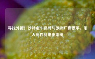 寻找外援！沙特电车品牌与欧洲厂商携手，引入高性能电驱系统