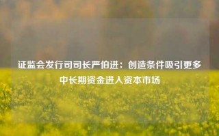 证监会发行司司长严伯进：创造条件吸引更多中长期资金进入资本市场