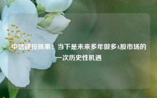 中信建投陈果：当下是未来多年做多A股市场的一次历史性机遇