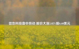 信也科技盘中异动 股价大涨5.02%报6.60美元