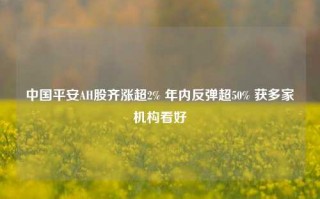 中国平安AH股齐涨超2% 年内反弹超50% 获多家机构看好