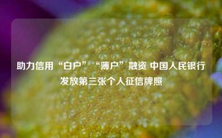 助力信用“白户”“薄户”融资 中国人民银行发放第三张个人征信牌照