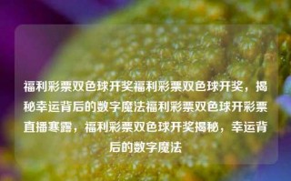 福利彩票双色球开奖福利彩票双色球开奖，揭秘幸运背后的数字魔法福利彩票双色球开彩票直播寒露，福利彩票双色球开奖揭秘，幸运背后的数字魔法，双色球开奖揭秘，幸运背后的数字魔法