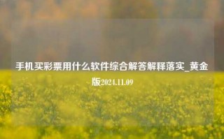 手机买彩票用什么软件综合解答解释落实_黄金版2024.11.09