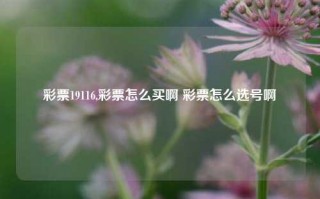 彩票19116,彩票怎么买啊 彩票怎么选号啊