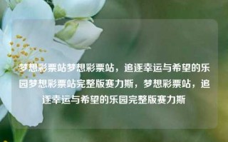 梦想彩票站梦想彩票站，追逐幸运与希望的乐园梦想彩票站完整版赛力斯，梦想彩票站，追逐幸运与希望的乐园完整版赛力斯，梦想彩票站，幸运与希望的乐园赛力斯版