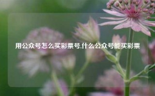 用公众号怎么买彩票号,什么公众号能买彩票