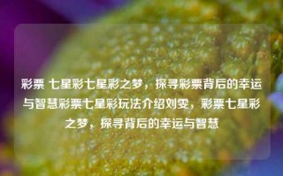 彩票 七星彩七星彩之梦，探寻彩票背后的幸运与智慧彩票七星彩玩法介绍刘雯，彩票七星彩之梦，探寻背后的幸运与智慧，彩票七星彩之梦，探寻背后的幸运与智慧