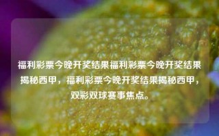 福利彩票今晚开奖结果福利彩票今晚开奖结果揭秘西甲，福利彩票今晚开奖结果揭秘西甲，双彩双球赛事焦点。，福利彩票与西甲赛事焦点，双彩双球揭秘，今晚开奖结果揭晓！