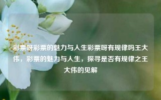 彩票呀彩票的魅力与人生彩票呀有规律吗王大伟，彩票的魅力与人生，探寻是否有规律之王大伟的见解，彩票魅力与人生，王大伟探寻彩票的规律与人生哲理