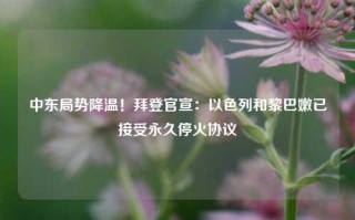 中东局势降温！拜登官宣：以色列和黎巴嫩已接受永久停火协议