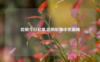 昆明今日彩票,昆明彩票中奖新闻