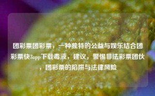 团彩票团彩票，一种独特的公益与娱乐结合团彩票快3app下载毒液，建议，警惕非法彩票团伙，团彩票的陷阱与法律风险，团彩票的风险与法律责任，警惕非法彩票团伙的陷阱