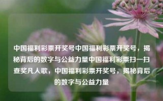 中国福利彩票开奖号中国福利彩票开奖号，揭秘背后的数字与公益力量中国福利彩票扫一扫查奖凡人歌，中国福利彩票开奖号，揭秘背后的数字与公益力量，中国福利彩票开奖号，揭秘背后的数字与公益力量共融