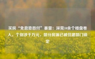 买房“免息垫首付”暴雷：深莞10余个楼盘卷入，个别涉千万元，部分房源已被住建部门锁定