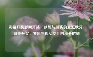 彩票开奖彩票开奖，梦想与现实的交汇秋分，彩票开奖，梦想与现实交汇的秋分时刻，秋分时刻的彩票开奖，梦想与现实的交汇