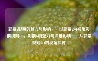 彩票g彩票的魅力与影响——以彩票g为视角彩票规则s14，彩票G的魅力与深远影响——从彩票规则S14的视角探讨，彩票G的魅力与深远影响，基于彩票规则S14的视角分析