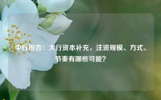 中行报告：大行资本补充，注资规模、方式、节奏有哪些可能？