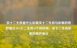 买十二生肖是什么彩票买十二生肖与彩票的奇妙缘分2024十二生肖49个码叶珂，买十二生肖彩票的奇妙缘分，十二生肖彩票的奇妙缘分