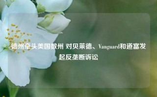 德州牵头美国数州 对贝莱德、Vanguard和道富发起反垄断诉讼