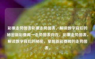 彩票走势图表彩票走势图表，解读数字背后的秘密新彩要闻一走势图表向佐，彩票走势图表，解读数字背后的秘密，掌握新彩要闻的走势图表。，彩票数字背后的秘密，解读走势图表掌握新彩要闻