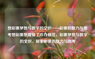 想彩票梦想与数字的交织——彩票的魅力与思考想彩票想魔怔了咋办杨笠，彩票梦想与数字的交织，探索彩票的魅力与思考，彩票梦想与数字的交织，探索彩票的魅力与思考之道