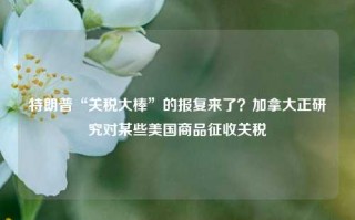 特朗普“关税大棒”的报复来了？加拿大正研究对某些美国商品征收关税