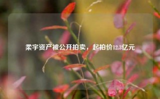 柔宇资产被公开拍卖，起拍价12.3亿元