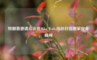 特朗普邀请众议员Mike Waltz出任白宫国家安全顾问