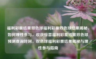 福利彩票结果双色球福利彩票双色球结果揭秘，如何理性参与，收获惊喜福利彩票结果双色球预测查询叶珂，双色球福利彩票结果揭秘与理性参与指南，双色球福利彩票结果揭秘与理性参与的指南