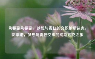 彩票诺彩票诺，梦想与责任的交织纳斯达克，彩票诺，梦想与责任交织的纳斯达克之旅，纳斯达克之旅，彩票诺——梦想与责任的交织之旅