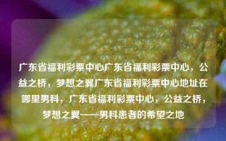 广东省福利彩票中心广东省福利彩票中心，公益之桥，梦想之翼广东省福利彩票中心地址在哪里男科，广东省福利彩票中心，公益之桥，梦想之翼——男科患者的希望之地，广东省福利彩票中心，公益之桥，男科患者的希望之地