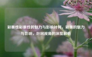 彩票性彩票性的魅力与影响叶珂，彩票的魅力与影响，叶珂视角的深度解析，彩票的魅力与影响，叶珂的深度解析