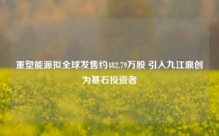 重塑能源拟全球发售约482.79万股 引入九江鼎创为基石投资者