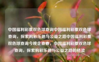 中国福利彩票双色球查询中国福利彩票双色球查询，探索购彩乐趣与公益之路中国福利彩票双色球查询今晚企查查，中国福利彩票双色球查询，探索购彩乐趣与公益之路的桥梁，中国福利彩票双色球查询，购彩乐趣与公益之路的桥梁