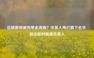 总精算师被传带走调查？中英人寿已撤下名字 委任临时精算负责人