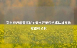 郑州银行原董事长王天宇严重违纪违法被开除党籍和公职